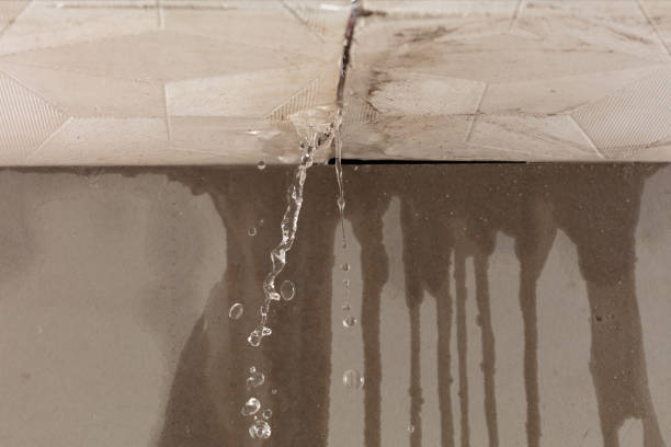 Professional Flood Damage Cleanup technician working in Ellendale, ND